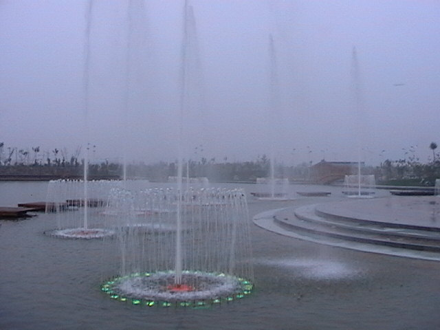 �S�ӹ��@������Ȫ