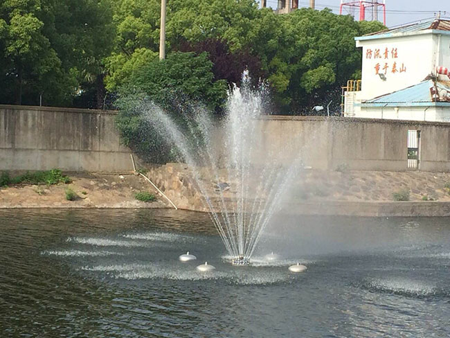 ������Ȫ